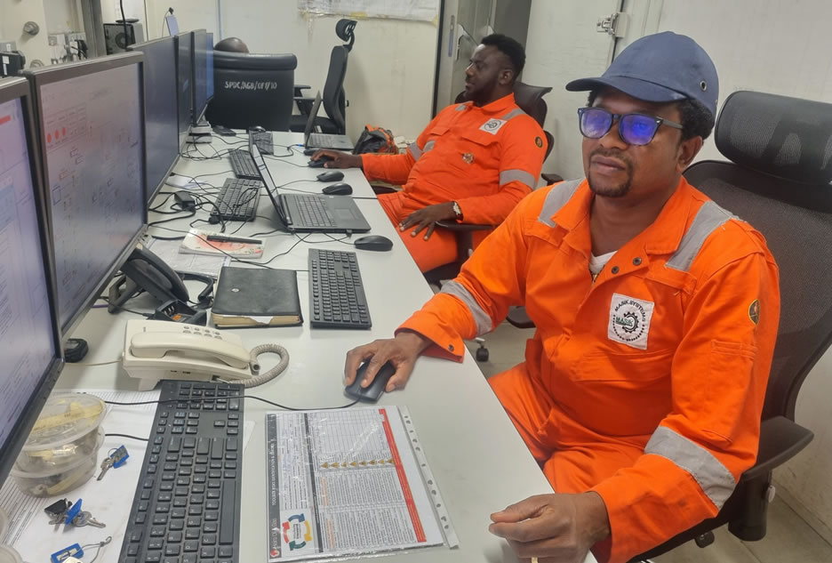 Plant Automation and Control Systems